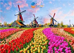 Du Lịch Châu Âu - Khám Phá 6 Quốc Gia: Đức - Thụy Sĩ - Luxembourg - Hà Lan - Bỉ - Pháp